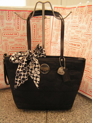 NWT COACH SIGNATURE STRIPE BLACK NYLON STITCHED TOTE BAG PURSE W/SCARF 17668 | eBay